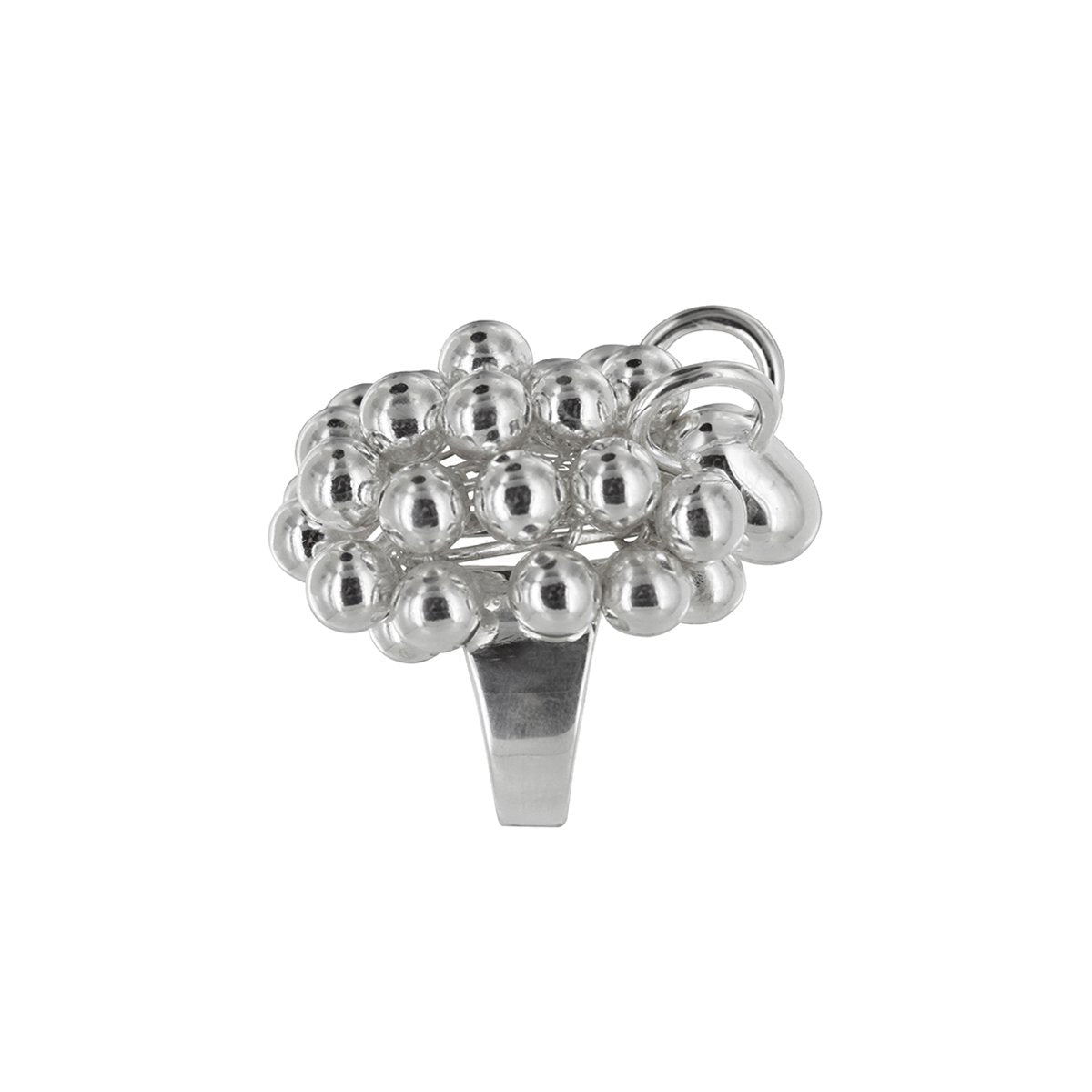 Pässi ring